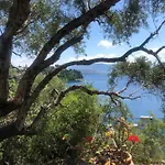 Nena - קלאמי